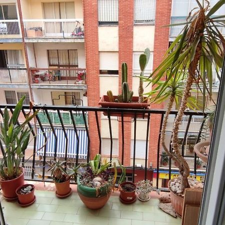 Dormitorios Piso Gandia Zewnętrze zdjęcie
