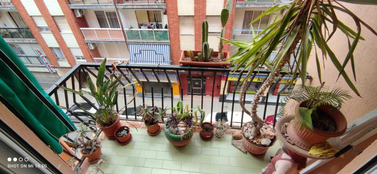 Dormitorios Piso Gandia Zewnętrze zdjęcie